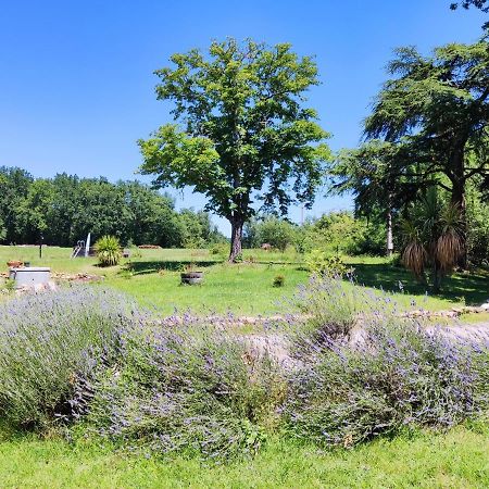 La Premiere Vigne Hotell Puycelci Exteriör bild